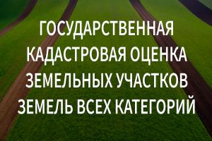 О проведении в 2026 году государственной кадастровой оценки одновременно в отношении всех учтенных в Едином государственном реестре недвижимости земельных участков на территории Воронежской области&quot;.